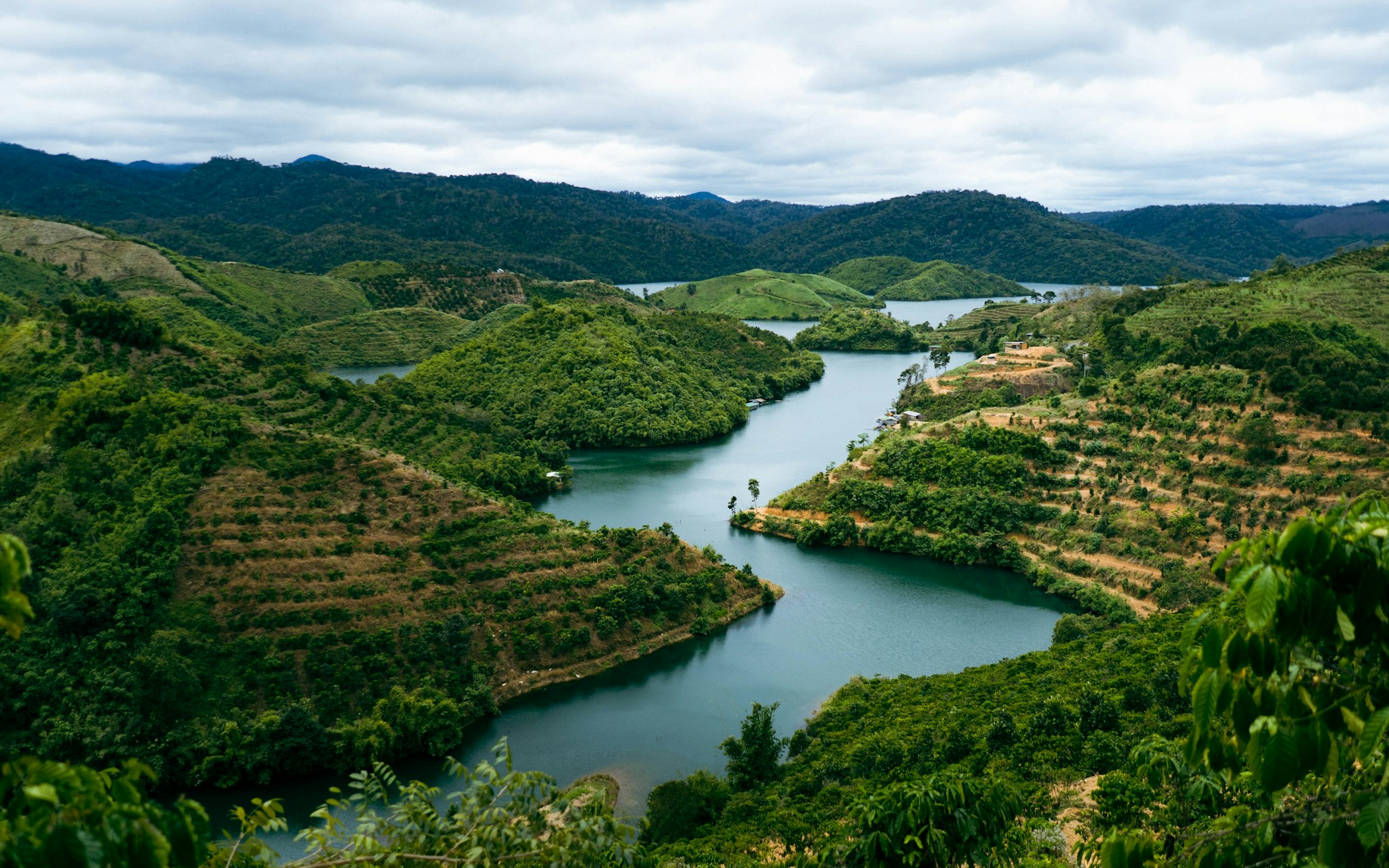 Thủy Sản Mekong Bio