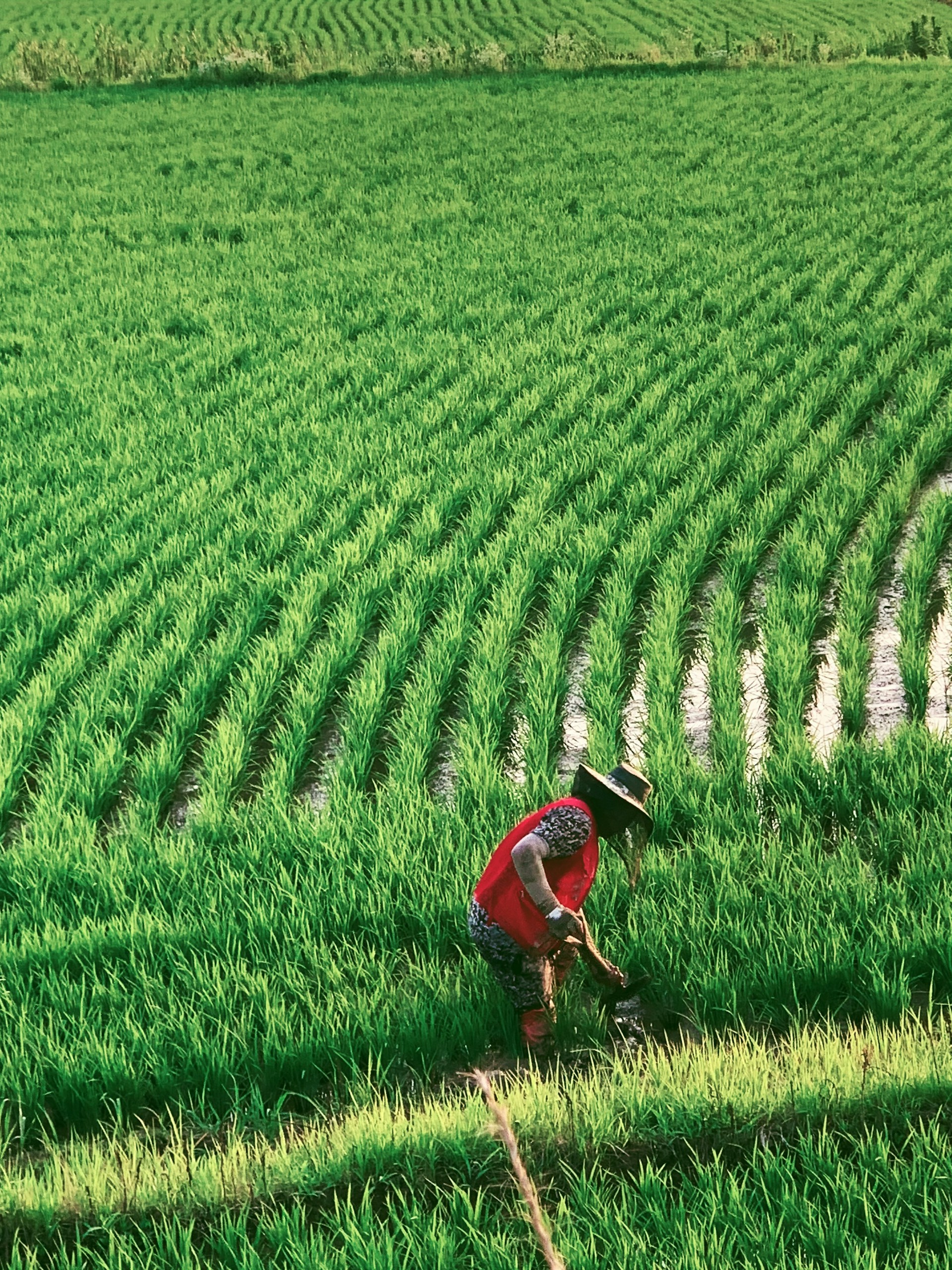 Cảng Lạnh Mekong