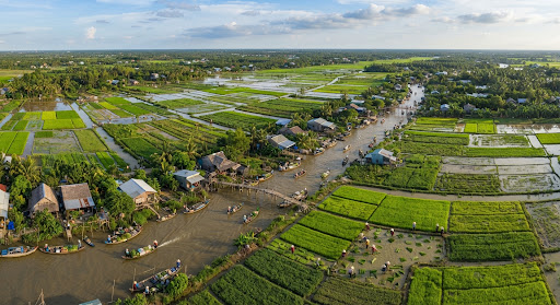 Mekong Delta Agriculture Landscape